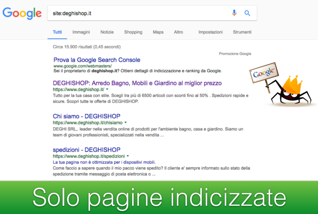 Googel AdWords per E-Commerce: Site di un sito web